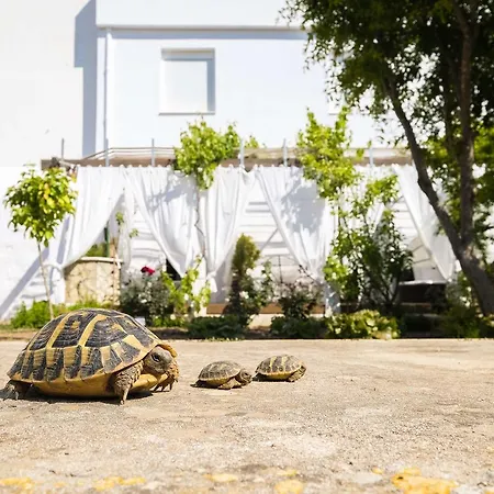 Abril 37 3* Ciutadella (Menorca)