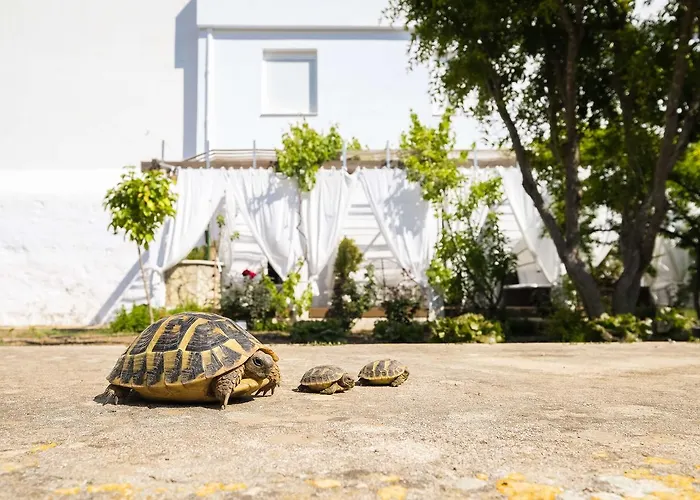 Abril 37 3* Ciutadella (Menorca)
