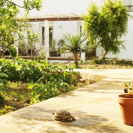 Abril 37 3* Ciutadella